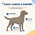 Capa de chuva amarela para cachorro e gato impermeável refletiva Skapet® - Imagem 8