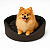 Cama para Cachorro Porte Pequeno Preto – Colchão Removível e Fundo Impermeável - Imagem 1