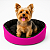 Cama para Cachorro com Colchão Removível e Fundo Impermeável Porte Pequeno - Cor Rosa - Imagem 1