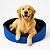 Cama para Cachorro com Colchão Removível e Fundo Impermeável Porte Médio e Grande - Cor Azul - Imagem 1