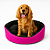Cama para Cachorro com Colchão Removível e Fundo Impermeável Porte Médio e Grande - Cor Rosa - Imagem 1