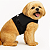 Coleira Peitoral Preta para Cachorro com Guia – Ajustável e Ergonômica - Imagem 3
