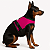 Coleira Peitoral Rosa para Cachorro com Guia – Modelo Antipuxão e Ergonômico - Imagem 4