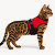 Coleira Peitoral para Gato Bengal, Savana e Gatos Domésticos – Ajustável e com Guia Vermelho - Imagem 1