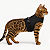 Coleira Peitoral para Gato Bengal, Savana e Gatos Domésticos – Ajustável e com Guia Preto - Imagem 1