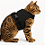 Coleira Peitoral para Gato Bengal, Savana e Gatos Domésticos – Ajustável e com Guia Preto - Imagem 2