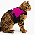 Coleira Peitoral para Gato Bengal, Savana e Gatos Domésticos – Ajustável e com Guia Rosa - Imagem 2