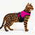 Coleira Peitoral para Gato Bengal, Savana e Gatos Domésticos – Ajustável e com Guia Rosa - Imagem 1