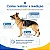 Coleira Peitoral Antipuxão Ergonômica com Guia para Cachorro - Imagem 6