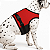 Coleira Peitoral Antipuxão Ergonômica para Cachorro em Nylon Skapet® - Imagem 2