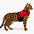 Coleira Peitoral Antipuxão Ergonômica para Gato em Nylon Skapet® - Imagem 1