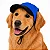 Boné para cachorro Skapet® proteção e estilo nos passeios - Imagem 7