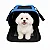 Bolsa Pet Cabine Aerolíneas Argentinas 44x30x23 para Cães e Gatos - Imagem 1