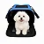 Bolsa Pet Cabine WestJet 41x25,4x21,5 cm para Cães e Gatos - Imagem 1