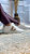 Tênis Casual Brilho Ouro Napa Branco 310006B - Imagem 2