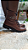 Bota Coturno Corrente Removível Napa Café 930010C - Imagem 1
