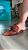 Mule Bico Fino Fivela Onix Croco Marrom 610001M - Imagem 2