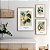 Conjunto de 3 Quadros Decorativos Frutas Vintage. - Imagem 1