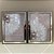 Conjunto de 2 quadros decorativos Dente de Leão delicado com detalhe em Espelho. - Imagem 1