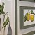 Conjunto com 4 quadros decorativos pintura a óleo Limão Siciliano- Medida 42x42 e 3x 32x22 com moldura Verde. - Imagem 2