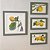 Conjunto com 4 quadros decorativos pintura a óleo Limão Siciliano- Medida 42x42 e 3x 32x22 com moldura Verde. - Imagem 1