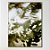 Quadro Decorativo Arte verde sublime - Imagem 1