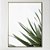 Quadro Decorativo Arte verde sublime - Imagem 1