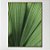 Quadro Decorativo Arte verde sublime - Imagem 1