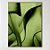 Quadro Decorativo Arte verde sublime - Imagem 1
