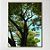 Quadro Decorativo Arte verde sublime - Imagem 1