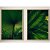 Conjunto de 2 Quadros Decorativos Folhas Verdes - Imagem 1