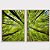 Conjunto com 2 quadros decorativos Floresta Verde - Imagem 1