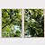 Conjunto com 2 quadros decorativos Floresta Verde no Céu Azul - Imagem 1