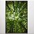 Quadro Decorativo Árvore Longa Verde. - Imagem 1