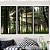 Conjunto de 3 quadros decorativos Árvores na floresta. - Imagem 1