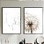 Conjunto de 2 Quadros Decorativos dente de leão. - Imagem 1