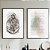 Conjunto de 2 Quadros Decorativos Pai nosso. - Imagem 1