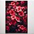 Quadro Decorativo Flores vermelhas. - Imagem 1