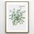Quadro Decorativo Eucalipto. Coleção Assinada: Paola Cury - Imagem 1