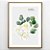 Quadro Decorativo Flores. Coleção Assinada: Paola Cury - Imagem 1