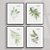 Conjunto de 4 quadros decorativos Oliveira. Coleção Assinada: Paola Cury - Imagem 1