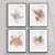 Conjunto de 4 quadros decorativos Florais. Coleção Assinada: Paola Cury - Imagem 1