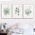 Conjunto de 3 quadros decorativos Eucalipto. Coleção Assinada: Paola Cury - Imagem 1