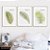 Conjunto de 3 quadros decorativos Areca-bambu. Coleção Assinada: Paola Cury - Imagem 1