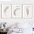 Conjunto de 3 quadros decorativos Capim dos pampas. Coleção Assinada: Paola Cury - Imagem 1