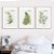 Conjunto de 3 quadros decorativos Samambaia. Coleção Assinada: Paola Cury - Imagem 1