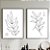 Conjunto de 2 Quadros Decorativo ilustração folhas. Artista: Natalia Dercale. - Imagem 1