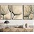 Conjunto com 3 quadros decorativos Dente de leão. - Imagem 1