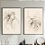 Conjunto de 2 Quadros Decorativos Figurativo e flor. - Imagem 1
