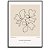 Quadro Decorativo Flor abstrato. - Imagem 1